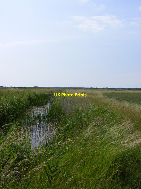 Photo 6"x4" Footpath across Haddiscoe Marshes St Olaves c2010