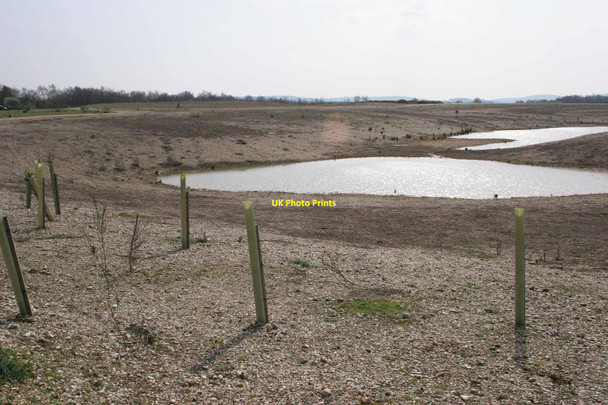 Photo 6"x4" Berkshire - Near Crookham Common Goldfinch Bottom c2005