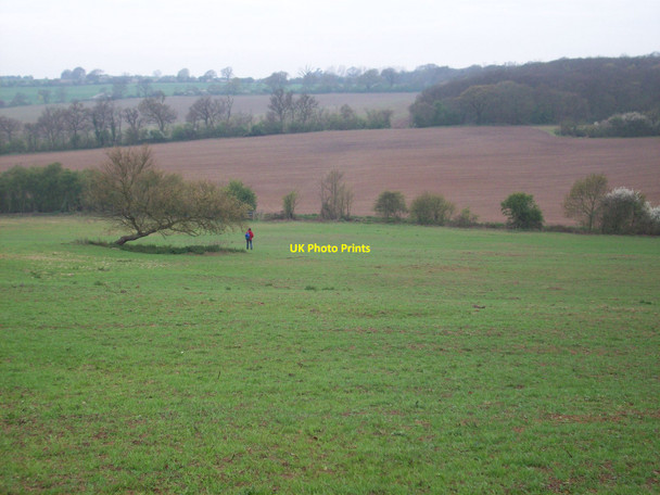Photo 6"x4" Stow Maries Walk Stow Maries c2010