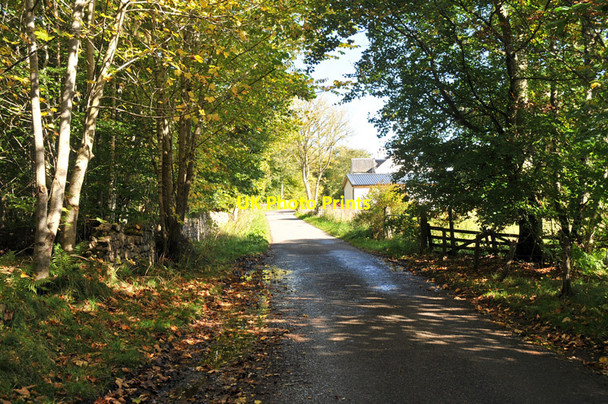 Photo 6"x4" Road from Torbreck to Essich Lochardil c2010