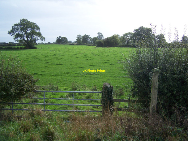 Photo 6"x4" Footpath From Canal Welsh End c2010