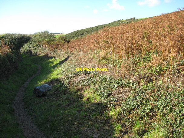 Photo 6"x4" Coast path above Carne Beach Carne\/SW9138 c2010