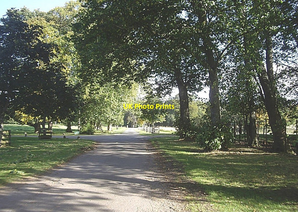 Photo 6"x4" Junction of lanes on Aboyne Castle estate Aboyne c2010