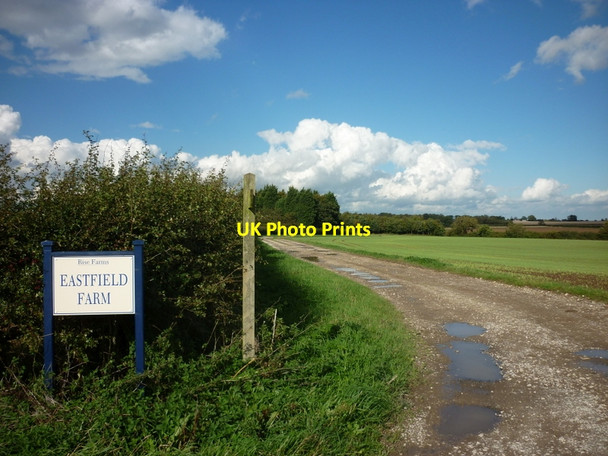 Photo 6"x4" The track to Eastfield Farm, Mill Lane Rise\/TA1542 c2010
