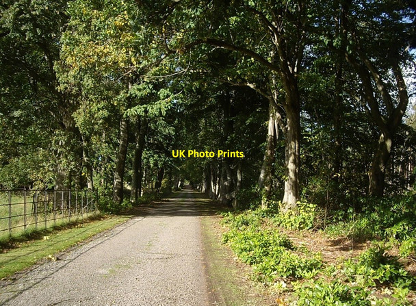 Photo 6"x4" Driveway from South Lodge to Aboyne Castle Aboyne c2010