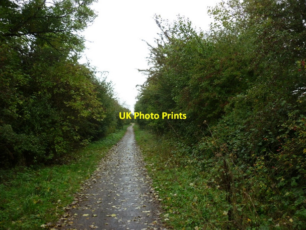 Photo 6"x4" The Hornsea Rail Trail towards the A165 Old Ellerby c2010