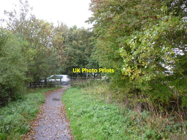 Photo 6"x4" The Trail crosses the A165 Oubrough Lane Old Ellerby c2010