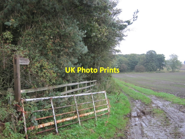 Photo 6"x4" Muddy Footpath to Ouston Ouston\/NZ0770 c2010
