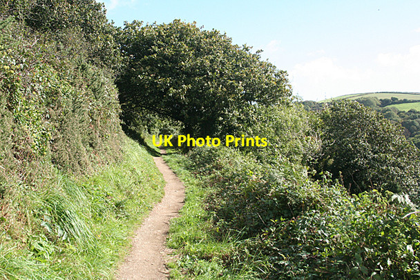 Photo 6"x4" Lanteglos: path to Pont Pill Fowey c2010