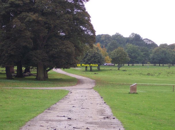 Photo 6"x4" Tracks in Tatton Park near Old Hall Tatton Dale c2010