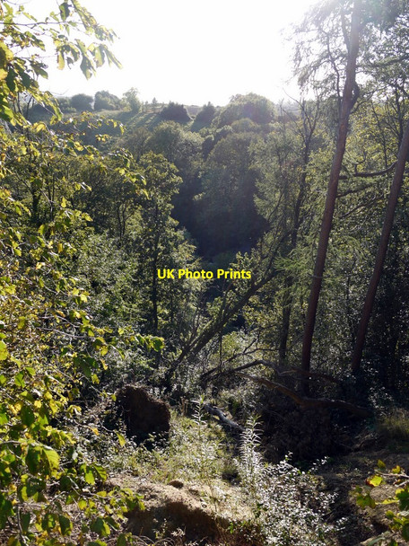 Photo 6"x4" Whittle Dene Prudhoe c2010