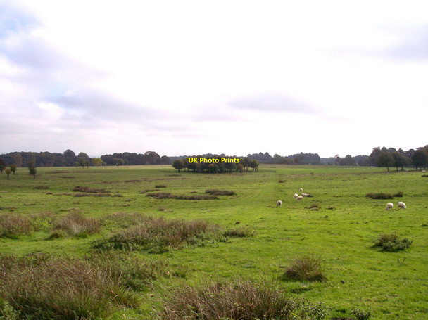 Photo 6"x4" Vista of the deer park at Tatton Tatton Dale c2010