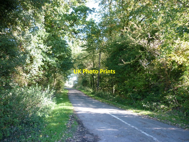 Photo 6"x4" The road to Fosham and Carlton West Newton\/TA1937 c2010