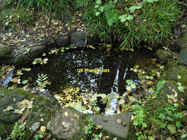 Photo 6"x4" Eddybroth Well, Whittle Dene Prudhoe c2010