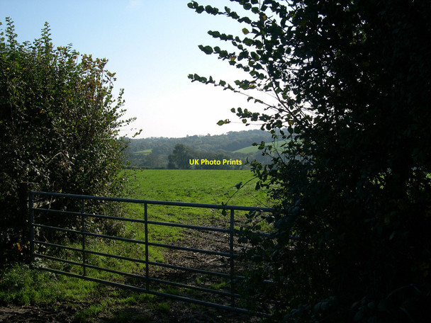 Photo 6"x4" Vaynor - fach Wood Bethesda\/SN0917 c2010