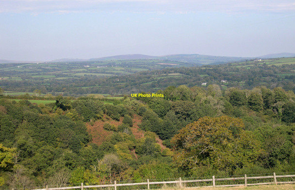 Photo 6"x4" Tir-bach Wood Llanddewi Velfrey c2010