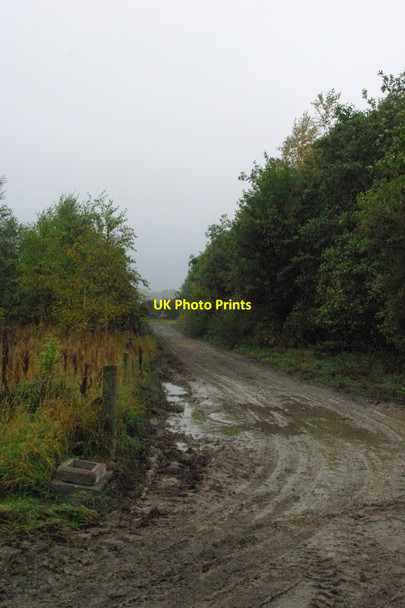 Photo 6"x4" Muddy track Woolsington c2010