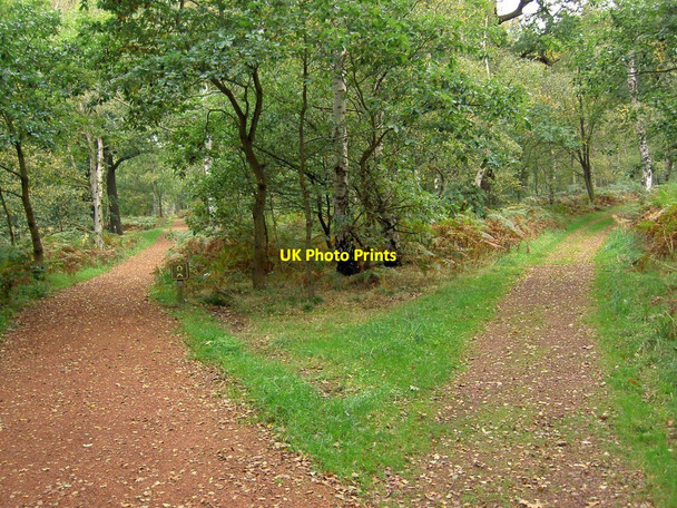 Photo 6"x4" Which way? Budby c2010