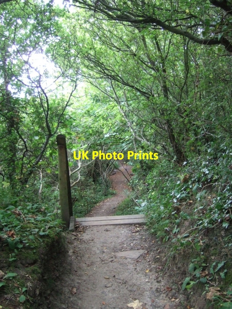 Photo 6"x4" Coastal footpath passing Bembridge Boarding Campus Bembridge c2010