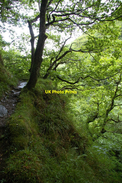 Photo 6"x4" East Lyn River: valley upstream of Watersmeet Countisbury c2010 P1