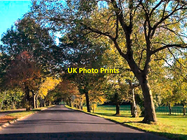 Photo 6"x4" Towneley Park, Burnley Burnley c2010
