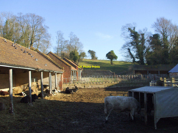 Photo 6"x4" Winter cattle sheds, Stanmer, Brighton Stanmer c2008