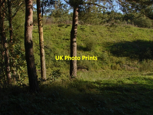 Photo 6"x4" Esher Common Esher c2010