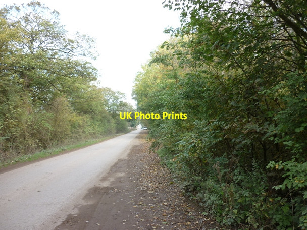 Photo 6"x4" Looking North along Gibson Lane, Melton Melton\/SE9726 c2010