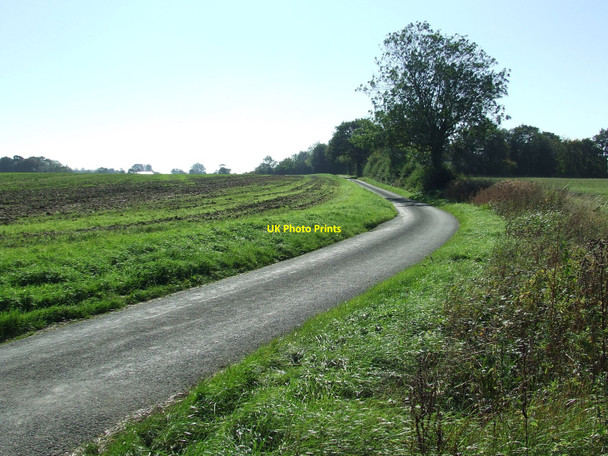 Photo 6"x4" Folly Lane Melon Green c2010