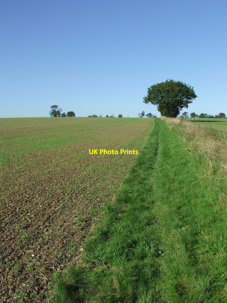Photo 6"x4" To Bury Brockley Green\/TL8254 c2010