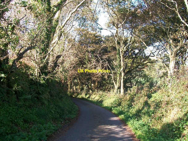Photo 6"x4" The wooded Lon 'Refail Llaniestyn c2010