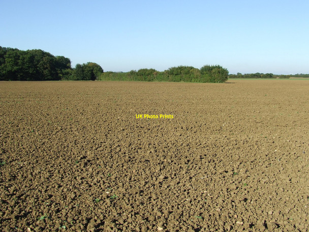 Photo 6"x4" Open Field Gulling Green c2010