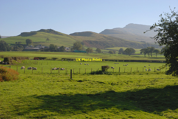 Photo 6"x4" Fields west of the Afon Dyfrdwy Llanuwchllyn c2010