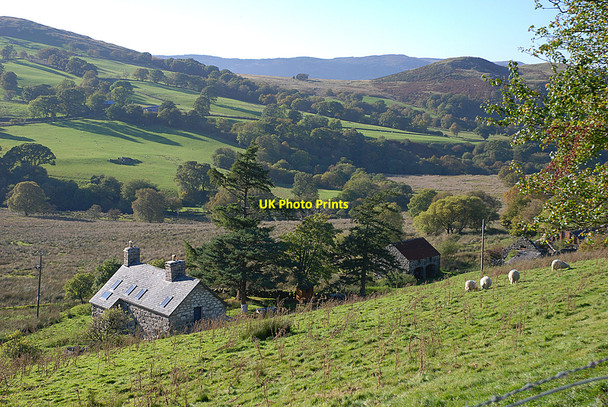 Photo 6"x4" Coed-ladyr farm Talardd\/SH8926 c2010