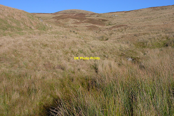 Photo 6"x4" Western slopes of Moel yr Cerrig Duon Talardd\/SH8926 c2010