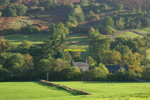 Photo 6"x4" Wern-gau farm Llanymawddwy c2010