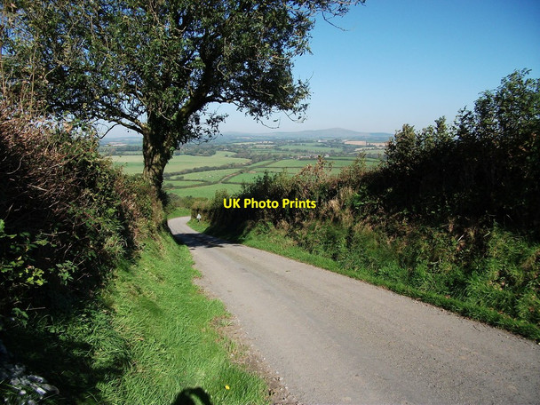Photo 6"x4" Pembrokeshire lane Gelli\/SN0819 c2010