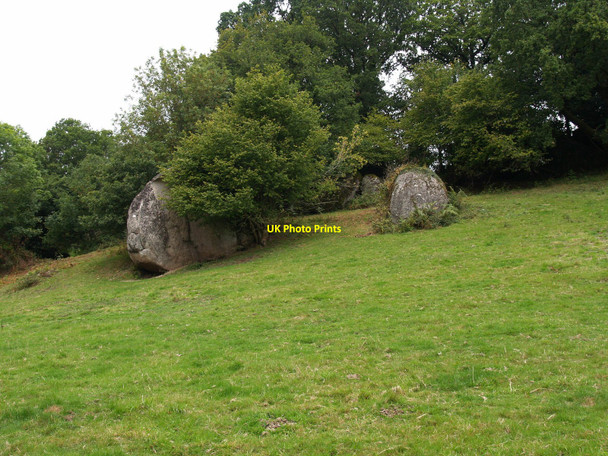 Photo 6"x4" Boulders in a field Lustleigh c2010