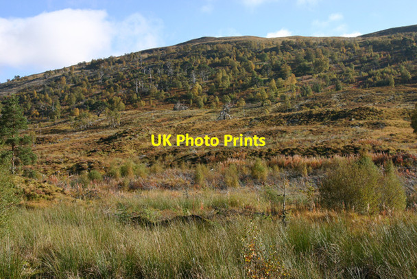 Photo 6"x4" Cnoc na h-Eilde Allt Riabhach\/NH2320 c2010