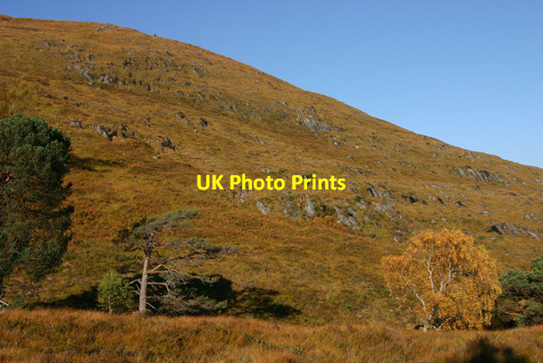 Photo 6"x4" Hillside above Allt Blar na Gamhna M\u00e8allan na Ceardaich c2010