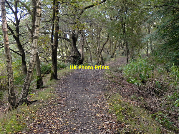 Photo 6"x4" Clifton Country Park Kearsley\/SD7505 c2010