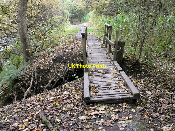 Photo 6"x4" Clifton Country Park, Path and Wooden Bridge Swinton\/SD7701 c2010