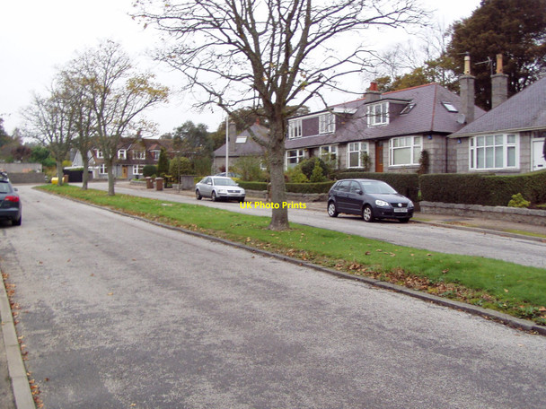 Photo 6"x4" Viewfield Gardens Aberdeen\/NJ9206 c2010