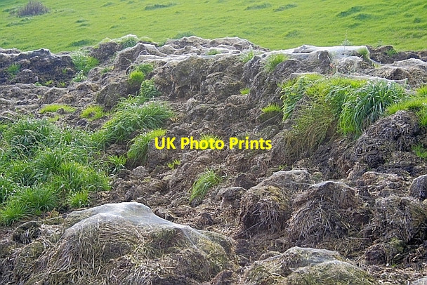 Photo 6"x4" Manure Heap near Scawling Farm Oldstead c2010