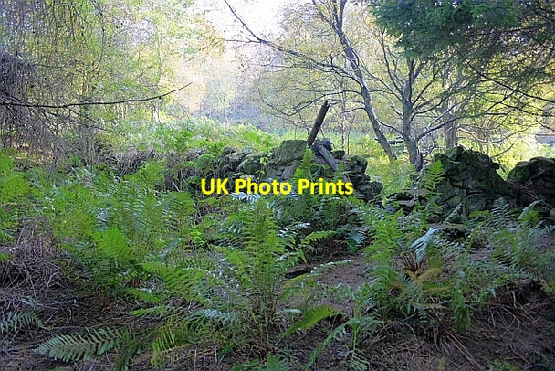 Photo 6"x4" Ruined Wall Corner, Great Cockerdale Wood Oldstead c2010