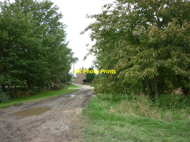 Photo 6"x4" Houses near Garthorpe Grange Adlingfleet c2010