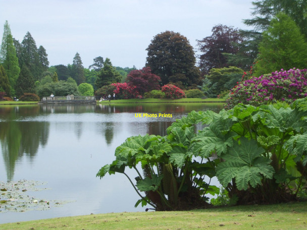 Photo 6"x4" Lake at Sheffield Park Gardens Sheffield Green\/TQ4124 c2008
