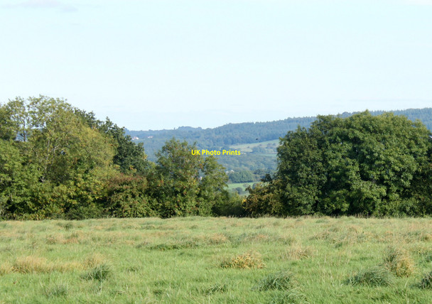 Photo 6"x4" 2010 : On the hill above Stall's Farm Upton Noble c2010