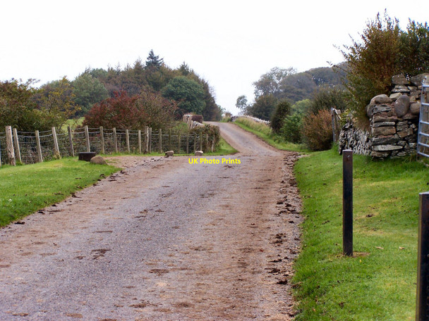 Photo 6"x4" Banks farm road Kirkcudbright c2010