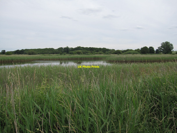 Photo 6"x4" Redgrave and Lopham Fen Fen Street\/TM0579 c2010